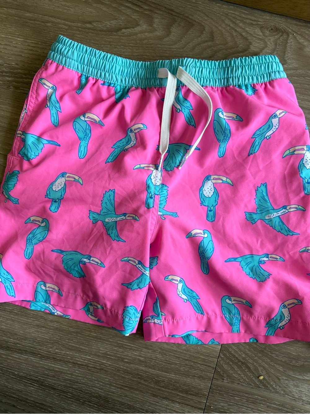 Chubbies Apex Classic 5.5" Swim Trunks Green Shark